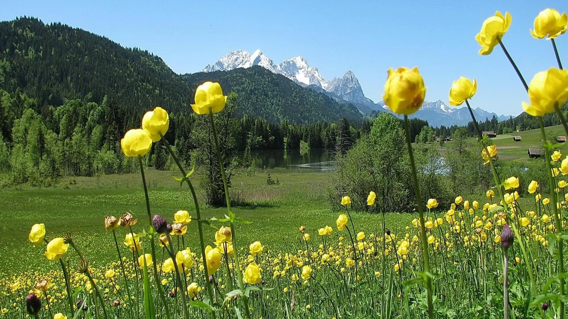Apartment Ferienwohnung Alpenchalet St.Ulrich Krün